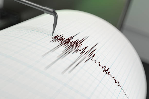 The Tremors of Time: Understanding the Wellington Earthquake